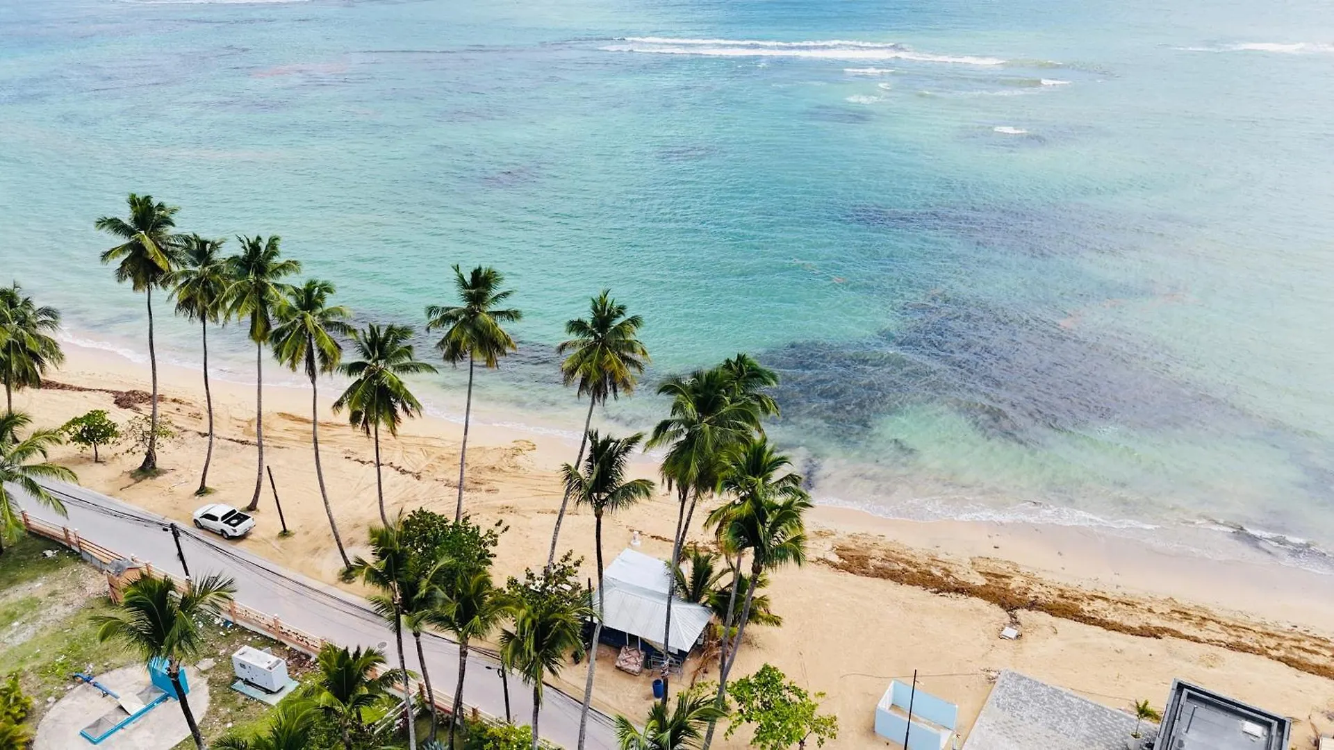 Las Ballenas Beachfront Apartments Лас Терренас
